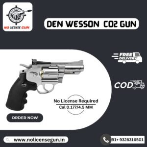 Den Wesson co2 gun