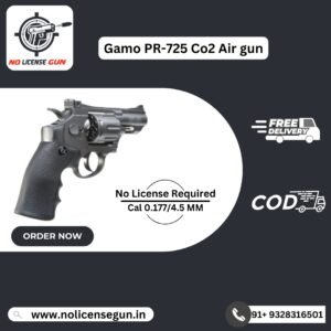 Gamo PR-725 Co2 Air gun